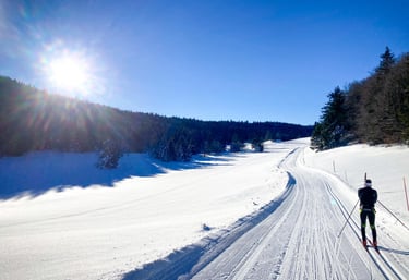 ski de fond skating font d'urle herbouilly hauts plateaux mont aiguille ski de randonnée