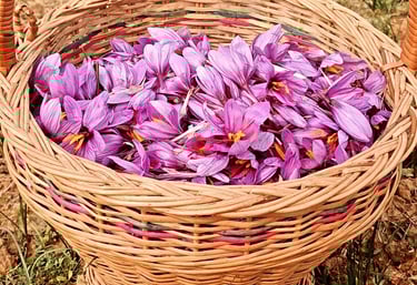 HEAVEN SAFFRON FARMS