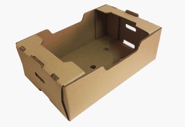 caja de carton para fruta agricultura