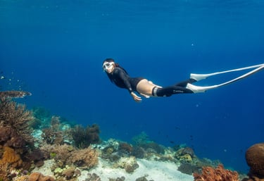 female freediver with beautiful corals in alor 