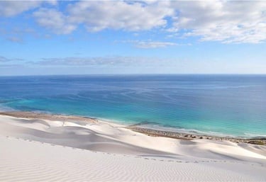 Socotra guide