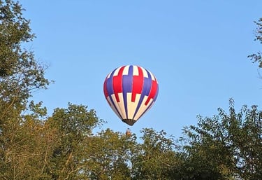 a hot air balloon ride in the sky with trees in the background