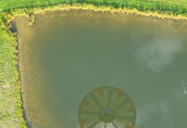 hot air ballon ride over a pond in binghamton new york