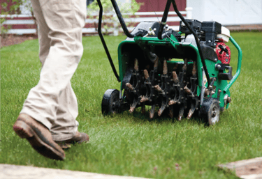 Professional lawn aeration service in Apex relieving compacted soil for healthier grass growth