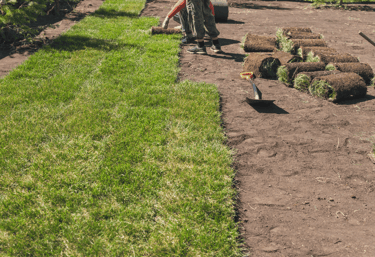 Completed sodding service with smooth, evenly installed turf