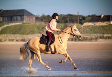 couple cavalier cheval au galop a la mer