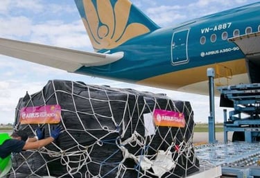 envio de argentina a panama aereo