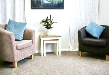 two chairs in counselling room opposite each other with table between with green plant on top
