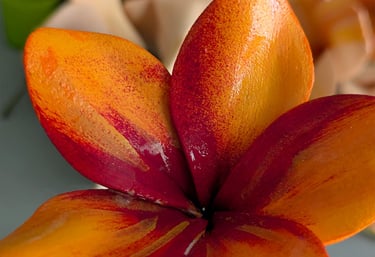 Frangipanier rouge-orange, création artisanale par Marion Guizzardi, artiste et créatrice, Montpellier.