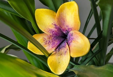 Fleur de frangipanier jaune aux détails violets, création faite main par Marion Guizzardi, artiste et créatrice, Montpellier