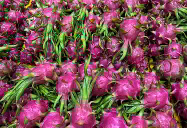 Fine dragon fruit from Vietnam
