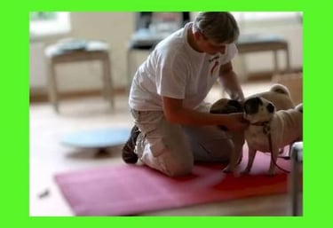 a woman in a white shirt is holding a dog