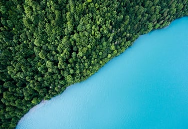water near a forest