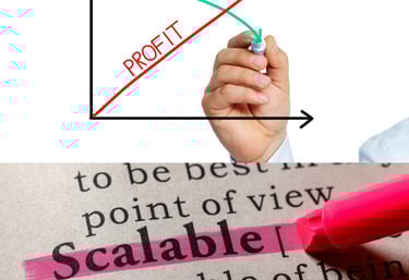 Bizolvo Consulting