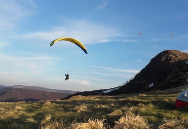Vol soaring dans un ciel bleu au-dessus des crêtes du Rothenbach