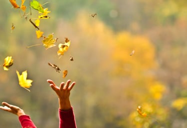 Kan psykoterapi hjælpe dig med at få det gode liv?