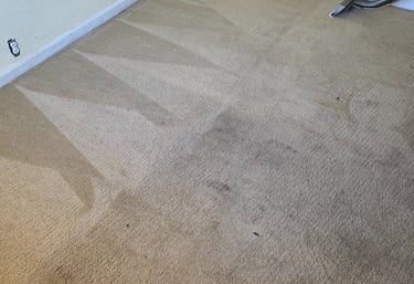 Professional steam cleaning wand removing deep stains from a beige residential carpet floor.
