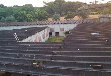 a bird sitting on top of a metal roof