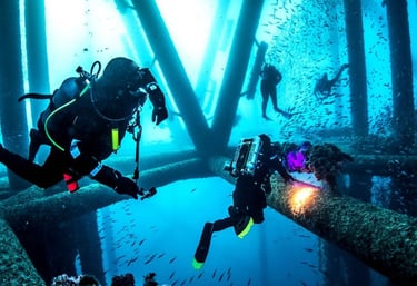 Artificial reef in San Carlos Sonora.