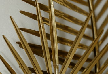 Aesthetica un centre d'esthétique au cœur de Montigny-le-Tilleul, à proximité de Charleroi.