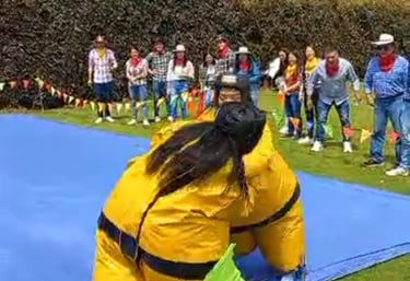 RENT SUMO IN GREENVILLE