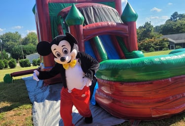 ALQUILER DE BOTARGAS Y SALTARINES PARA FIESTAS DE CUMPLEAÑOS EN GREENVILLE