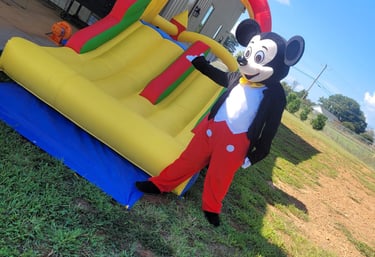 ALQUILER Y RENTA DE INFLABLES -INFLATABLES -SALTARINES PARA FIESTAS DE CUMPLEAÑOS EN GREENVILLE