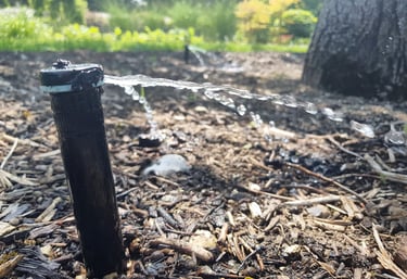 a nozzle with a bubbler spraying a tree