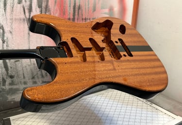 Custom Built Guitars in South Elgin IL