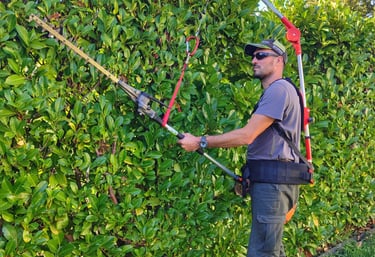 Taille de haie par un jardinier