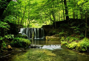 Rolling hills and forests of Žumberak-Samoborsko Gorje Nature Park with cultural heritage sites.