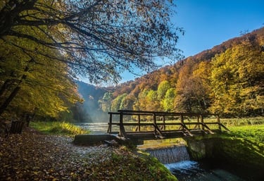 Waterfall cascading through lush forest and below wooden bridge in Papuk UNESCO Geopark.