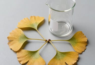 Beautifully styled composition of golden-green Ginkgo Biloba leaves carefully arranged next to a professional glass beaker on a minimalist sterile surface.