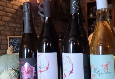 vendita vino cantina bertinoro romagna