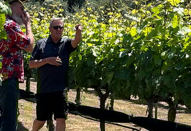 Gary walking with a guest in the vines