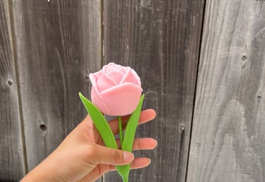 a person holding a pink flower in a vase