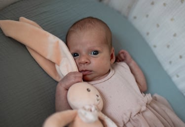 Photographe naissance Bourges