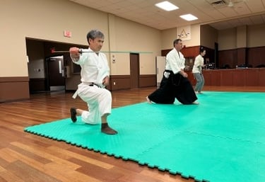 iaijutsu