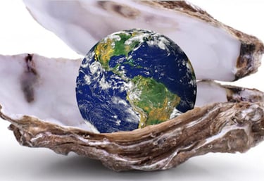 a globe inside an oyster shell
