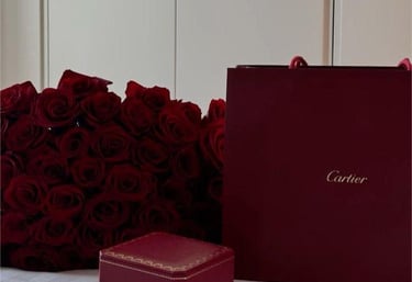 Exclusive high class escort Bloemendaal–VIP escort, high end escort service and luxury escort agency