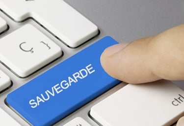 Sauvegarde proactive