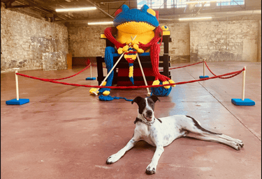 Henry with FROG knitting a future iteration of himself by Dundee & Lee's Emilie Odeile & Ken Chapin.