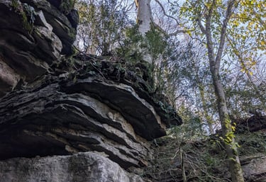 Terapia online Dolors Reig