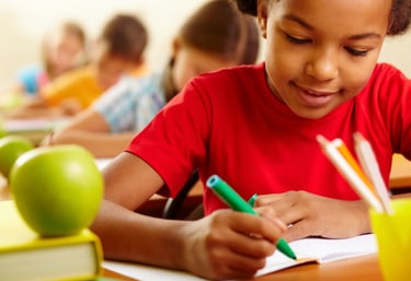 responsabilité-civile-scolaire-mayotte