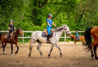 a girl riding a horse in a fenced in area
