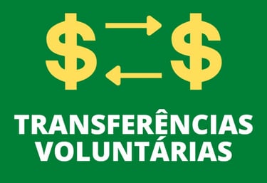 Assessoria e Consultoria em Gestão Pública