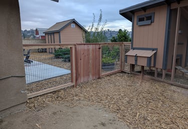 Custom Fence and Gate