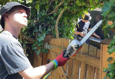 Tree Pruning Tool