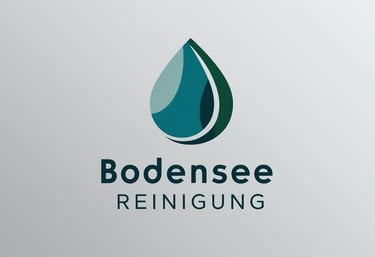 Bodensee Reinigung Logo 