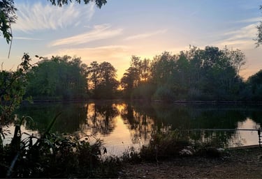 Evening at Willington